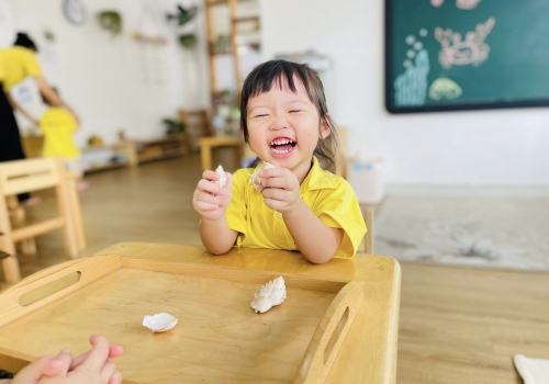 HOẠT ĐỘNG MONTESSORI - 