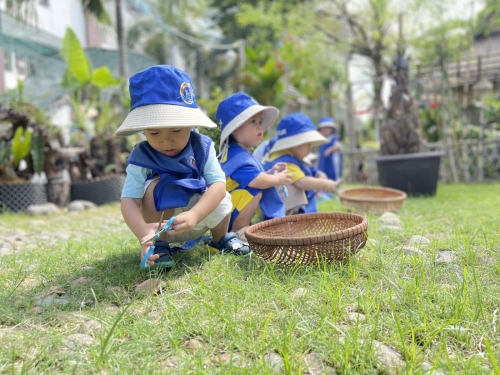 Hoạt động Ngoài Trời - Hoạt động Ngoài Trời -