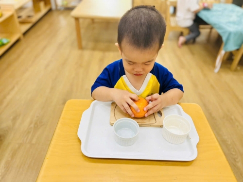 Pratice Life Actives In Montessori Pratice Life Actives In Montessori