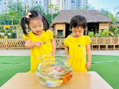Hoạt Động Quan Sát- Khám Phá Sự Sống Qua Đôi Mắt Trẻ Thơ Hoạt Động Quan Sát- Khám Phá Sự Sống Qua Đôi Mắt Trẻ Thơ