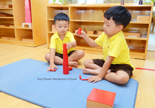 Montessori Program